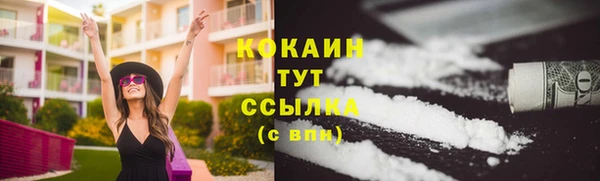 гашик Кулебаки