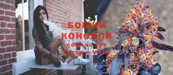гашик Кулебаки