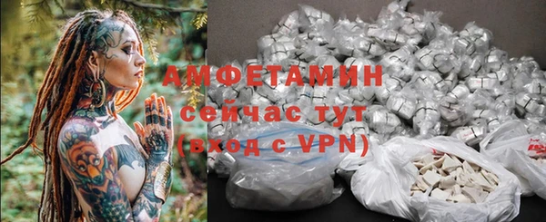 гашик Кулебаки