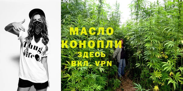 гашик Кулебаки