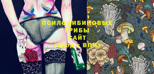 гашик Кулебаки