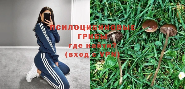 не бодяженный Красноперекопск