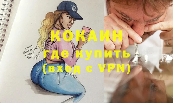 гашик Кулебаки