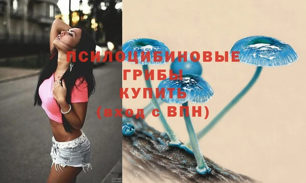гашик Кулебаки