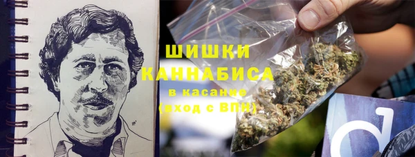 гашик Кулебаки